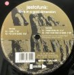 画像2: JESTOFUNK / LOVE IN A GOLD DIMENSION (2)