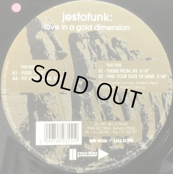 画像2: JESTOFUNK / LOVE IN A GOLD DIMENSION (2)
