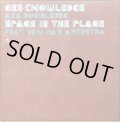 CEE-KNOWLEDGE / SPACE IS THE PLACE