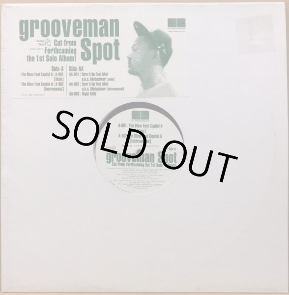 画像1: GROOVEMAN SPOT / THE BLOW (1)