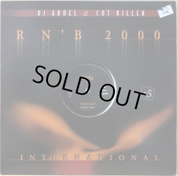 画像1: DJ ABDEL & CUT KILLER / R N' B 2000 INTERNATIONAL #5 (1)