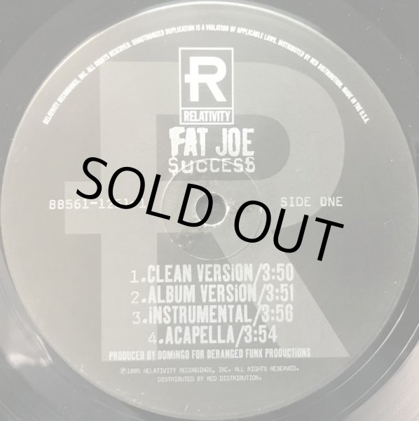画像1: FAT JOE / SUCCESS (1)