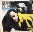 画像1: BLACK SHEEP / WITHOUT A DOUBT (PICTURE) (1)