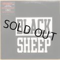 BLACK SHEEP / WITHOUT A DOUBT