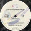画像1: ARRESTED DEVELOPMENT / MR. WENDAL -REMIXES- (1)