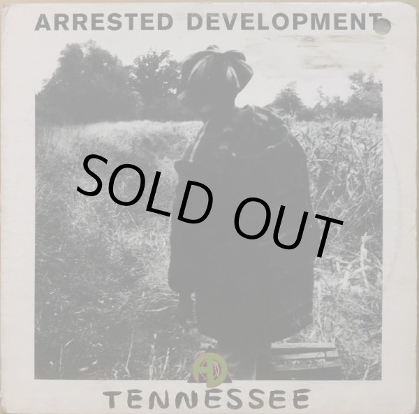 画像1: ARRESTED DEVELOPMENT / TENNESSEE (1)