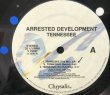 画像2: ARRESTED DEVELOPMENT / TENNESSEE (2)