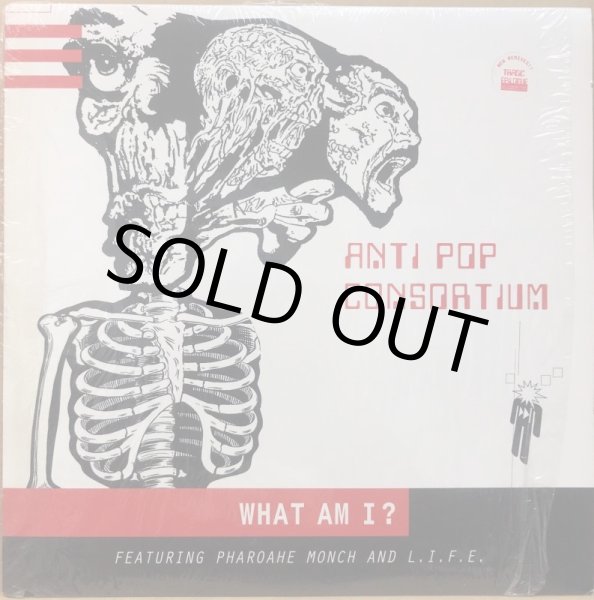 画像1: ANTI POP CONSORTIUM / WHAT AM I ? (1)