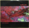画像1: MULTICAST / RURAL SESSIONS (COLOR VINYL) (1)