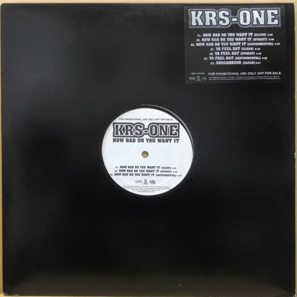 画像1: KRS-ONE / HOW BAD DO YOU WANT IT (1)