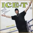 画像1: ICE-T / THAT'S HOW I'M LIVIN' (UK) (1)