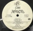 画像2: ARTIFACTS / DYNAMITE SOUL (2)
