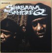 画像1: SHABAAM SAHDEEQ / 3-D (1)