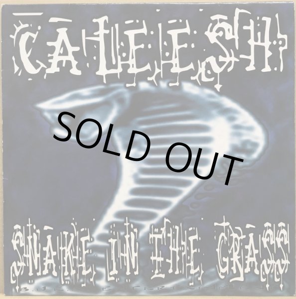 画像1: CALEESH / SNAKE IN THE GRASS (1)