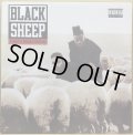BLACK SHEEP / A WOLF IN SHEEP'S CLOTHING (RE)