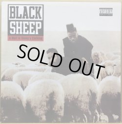 画像1: BLACK SHEEP / A WOLF IN SHEEP'S CLOTHING (RE)