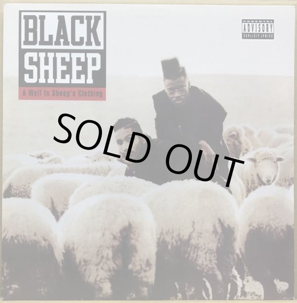 画像1: BLACK SHEEP / A WOLF IN SHEEP'S CLOTHING (RE) (1)
