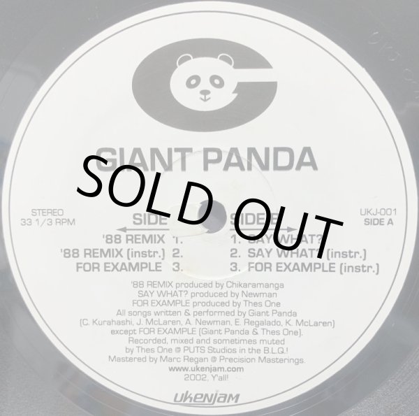 画像2: GIANT PANDA / '88 REMIX (2)