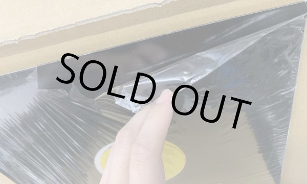 画像3: RIKII THE LUNATIC LADY / FUNKII AFRODEEZO (VG) (3)