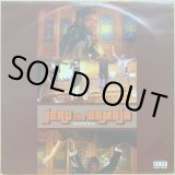JERU THE DAMAJA / WRATH OF THE MATH