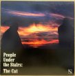 画像1: PEOPLE UNDER THE STAIRS / THE CAT (1)