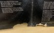 画像2: IVAN LINS / SOMOS TODOS IGUAIS NESTA NOITE (RE) (2)