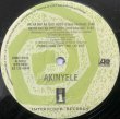 画像1: AKINYELE / AK HA HA! AK HOO HOO? (RE) (1)