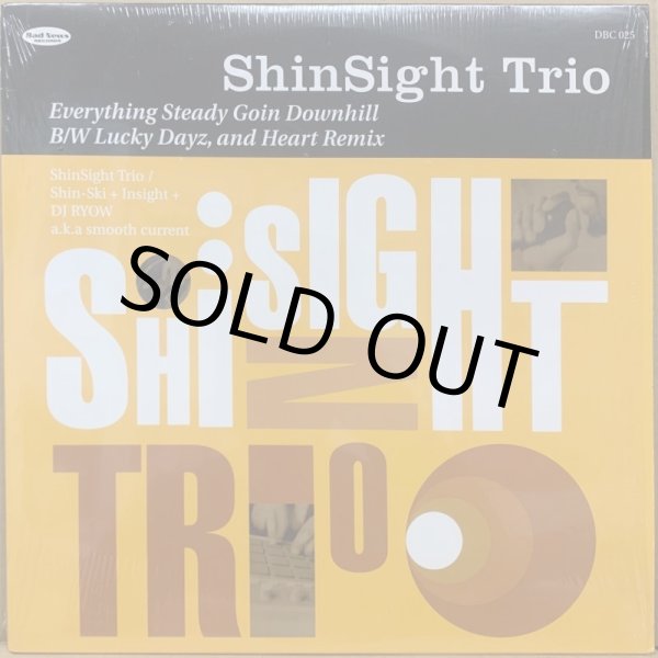画像1: SHINSIGHT TRIO / EVERYTHING STEADY GOIN DOWNHILL (1)