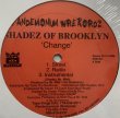 画像1: SHADEZ OF BROOKLYN / CHANGE (SEALED) (1)