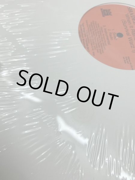 画像2: SHADEZ OF BROOKLYN / CHANGE (SEALED) (2)