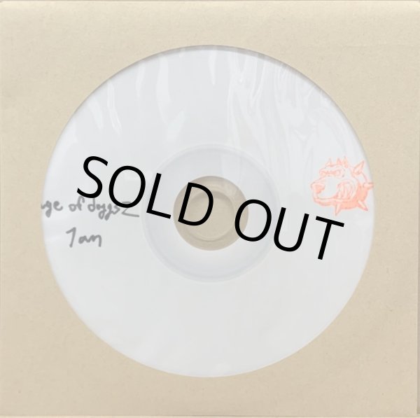 画像1: 1an (Sour Inc.) / RAGE OF DOGGS 2 (CD-R) (1)