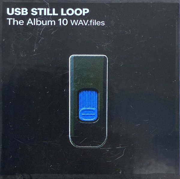 画像1: Walo & Youalreadynoe / USB STILL LOOP (USB MEMORY) (1)