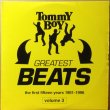 画像1: V.A. / TOMMY BOY GREATEST BEATS THE FIRST FIFTEEN YEARS 1981-1996  VOLUME 3 (1)
