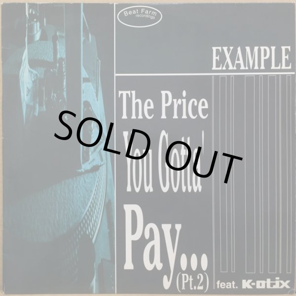 画像1: EXAMPLE / THE PRICE YOU GOTTA' PAY... -PT.2- (1)