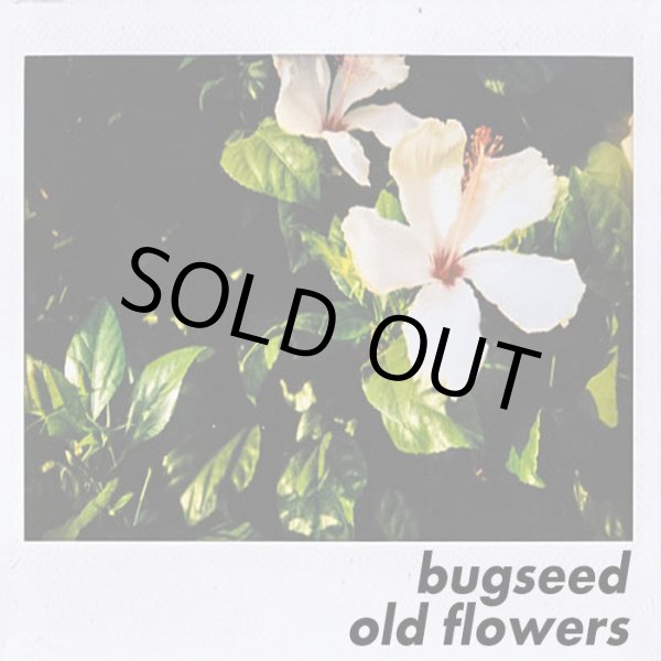 画像1: BUGSEED / OLD FLOWERS (CD-R) (1)