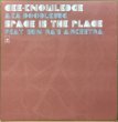 画像1: CEE-KNOWLEDGE / SPACE IS THE PLACE (1)