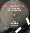 画像2: DJ GRAZHOPPA / MILKY (2)