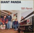 画像1: GIANT PANDA / '88 REMIX (1)